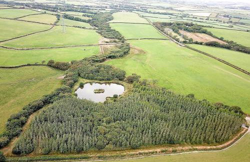 Fentrigan Manor Farm & Holiday Cottages - Foto 75