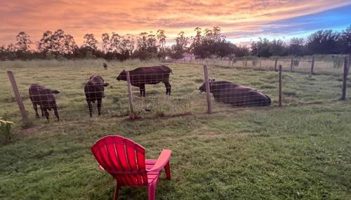 BlockHaven near Legoland, Disney - Foto 2