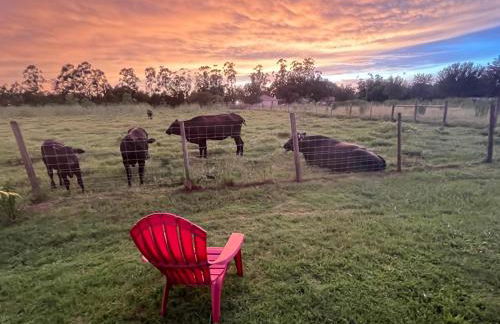 BlockHaven near Legoland, Disney - Foto 2