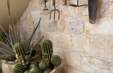 Endless Blue - Photo 77