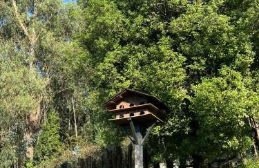 Cabaña de Caldones - Foto 17