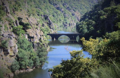 Quinta da Rocha 1875 - Foto 34