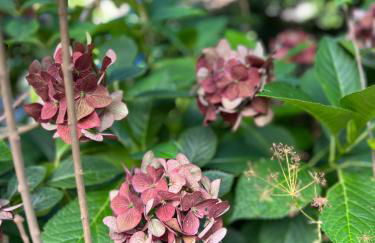 Haus Schönsee - Foto 28