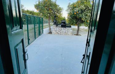 Citrus garden - Photo 14