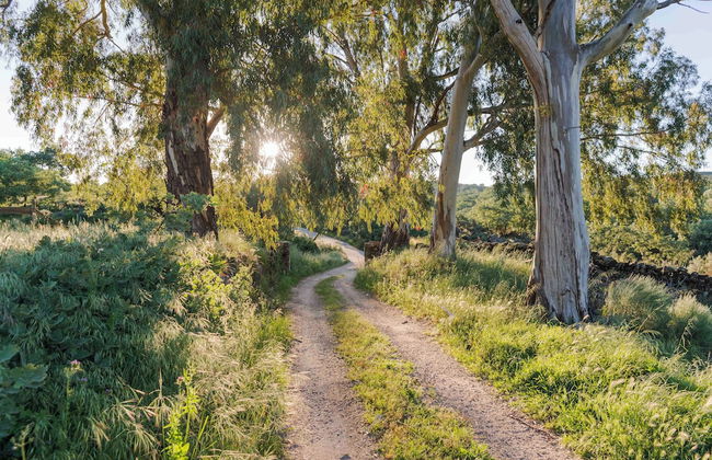 Finca El Cabezo - Foto 20