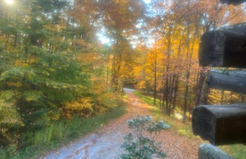 Bill's Place In Vermont - Foto 51