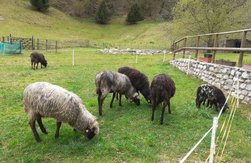 Casa FontaGusta - Digital Detox am Idrosee - Foto 11