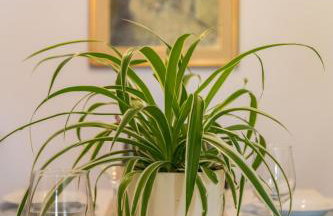 TERRA MAGICA DELUXE Apartment Or Room with Free Parking, Terrace and Sea View - Foto 14