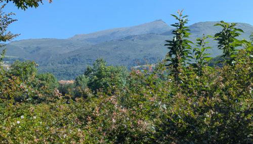 villa relax - Foto 2