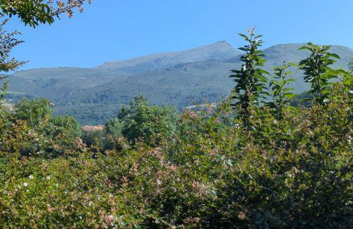 villa relax - Foto 2