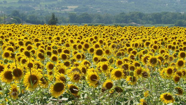 Da vedere in Francia