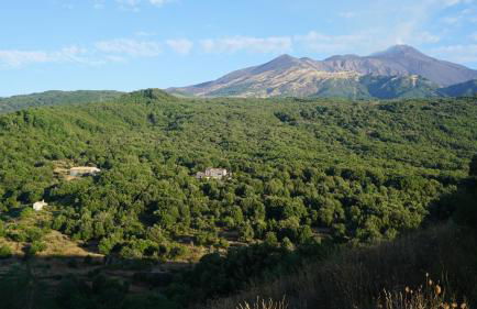 Casa Etnea - Foto 75