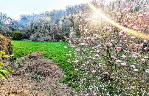 Swn Y Saith, dog-friendly stay in Tresaith - Foto 20