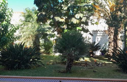 apartamento en zona residencial - Photo 13