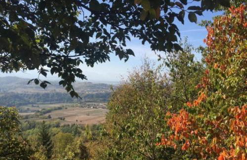 Mansion in Langhe With Pool and Winery Charm - Foto 40