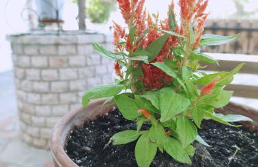 Hotel Alexandra - Foto 37