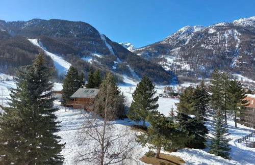 Aigle Noir - Photo 10