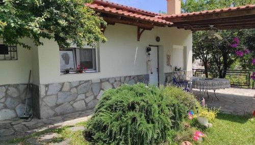 Summer House 150m from the beach for 5 persons. - Foto 5, Garden, Garden view