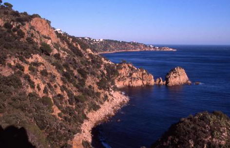 Nuevo Luminoso Apartamento Catalina a 80 metros de la playa para 4 personas - Foto 80