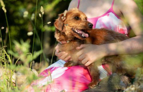 City to Country Retreat Luxury Lodges with Hot Tub, BBQ, Fire Pit - Foto 39