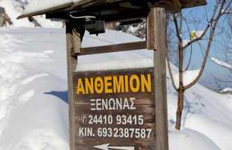 Anthemion - Photo 10