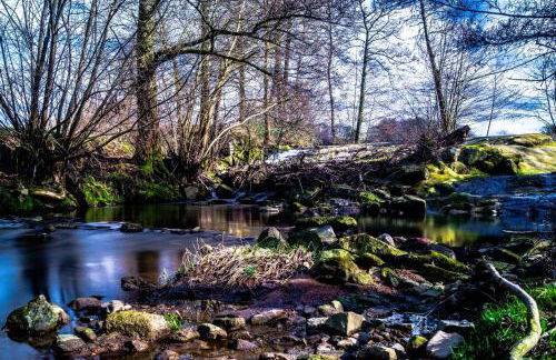 Ferienwohnung Mörlenbach - Foto 60