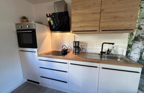 Ferienhäusel Allemühl - Foto 17