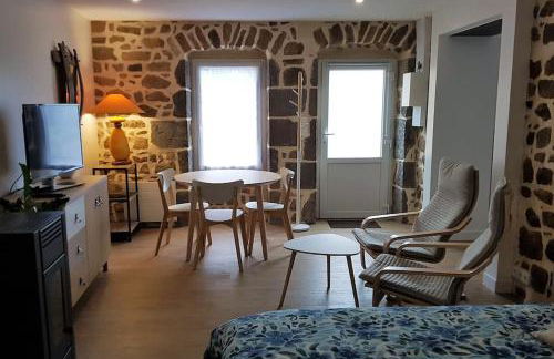 Studio chaleureux 5 mns chaine des Puys - Foto 1