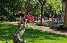 Romantik Studio - Cozy - Stylisch - Naturnah - Foto 43