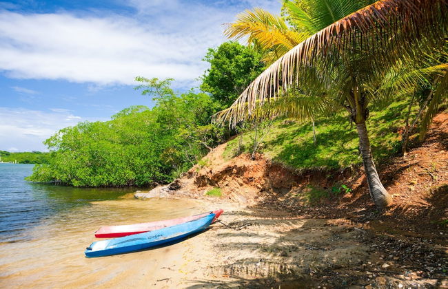 Parie House - Foto 14