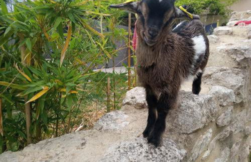 le Mas de la Jardine - Foto 1