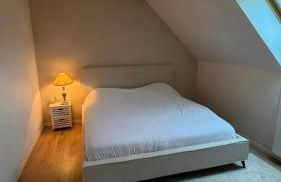 Maison de campagne - 20min du circuit des 24H et du zoo de la Flèche - Photo 8