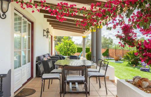 Monte Velho - Foto 47