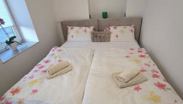 Pension New Elterlein! - Foto 3