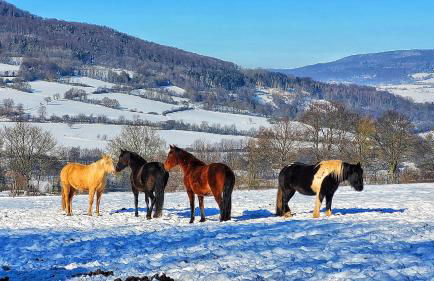 Habelberg Apartments - Foto 23