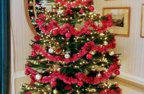 Bressingham Hall - Foto 65