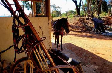 Exclusivo Haras Marilu! - Foto 46