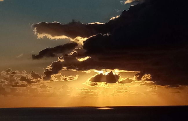 Sardinian Villa Enjoy Stintino With Your Pets ! - Photo 10