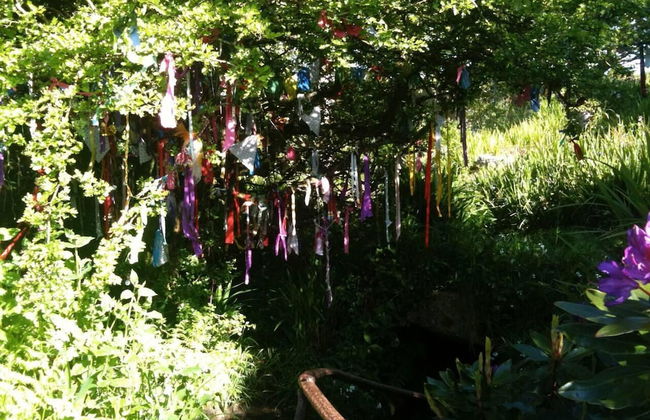 Sancreed Beacon Heart of West Cornwall - Sea Views - Foto 14