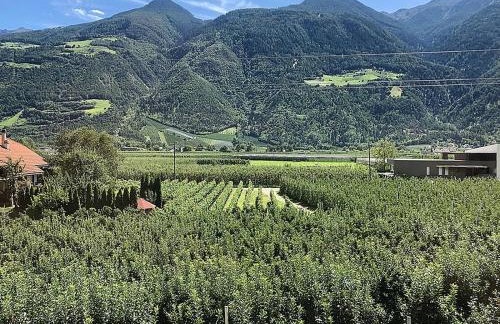 Pixnerhof Chalet Bonita - Foto 5