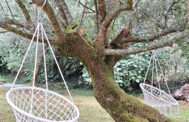 Casal das Nogueiras, casas rurais de charme agradáveis e acolhedoras - Foto 55