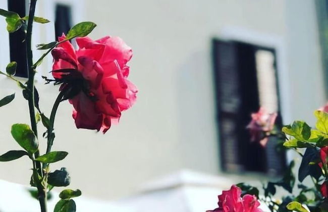 Antico Borgo San Francesco - Photo 44