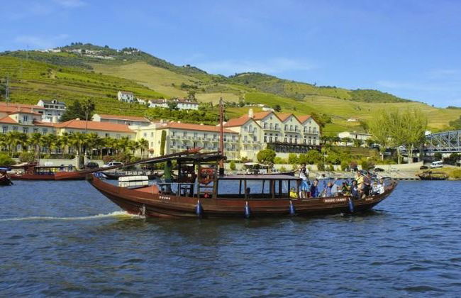 Día completo en el Duero (2 bodegas) recogida y regreso – Grupos pequeños - Foto 1