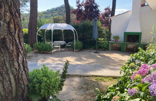 Aventura II - Photo 10