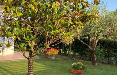 Il Trammino - Foto 10