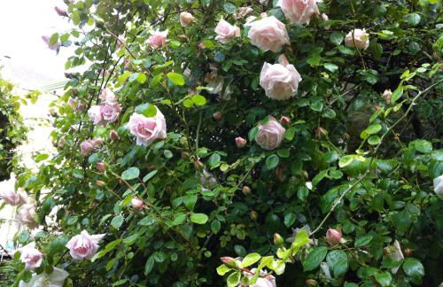 Loire Valley Medieval Getaway - Photo 56