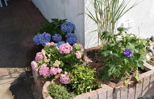 Haus Pries - Foto 23