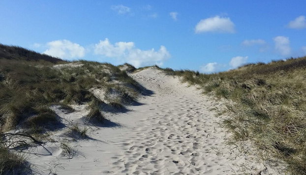 Luxury Spa Apartment in Sondervig - By Traum Ferienwohnungen - Foto 4, Verschiedenes