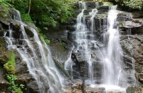 The Snow Owl Cabin - Foto 31