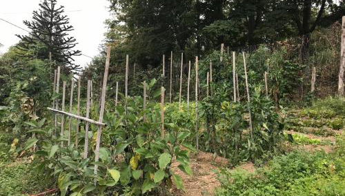 Casa Bicocchi - Foto 4